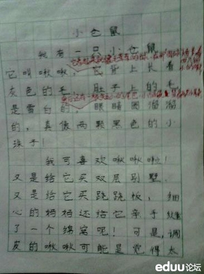 写仓鼠的作文500字