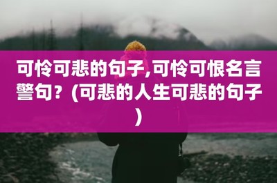 可怜的句子