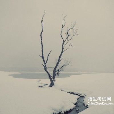 形容灰色的句子