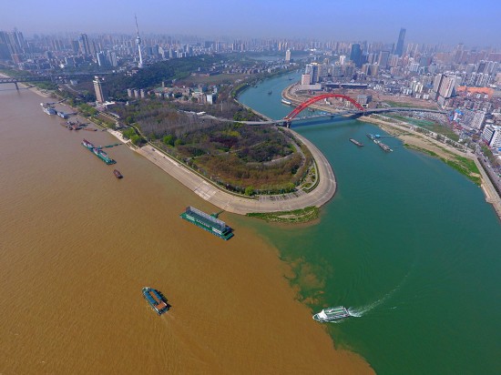 我真的什么作文