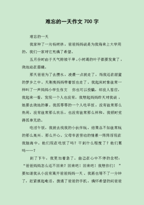 我最难忘的一天作文