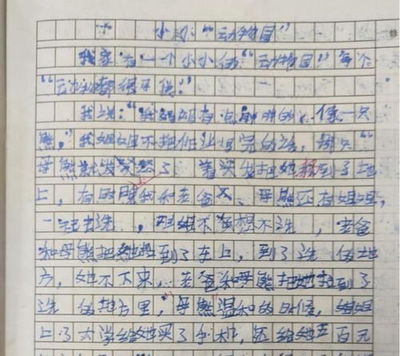 写猫的作文300字
