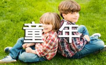 童年读后感800字高中