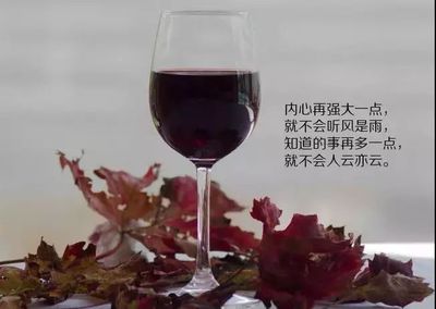 带酒的人生哲理句子