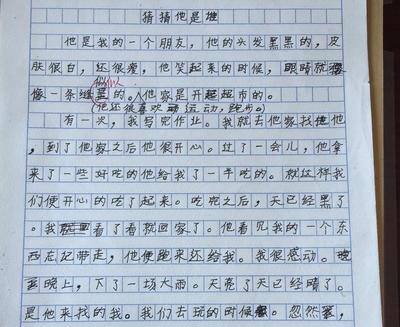 我家的一个星期天作文
