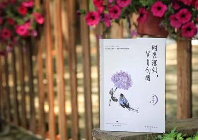 感慨又老了一岁的句子