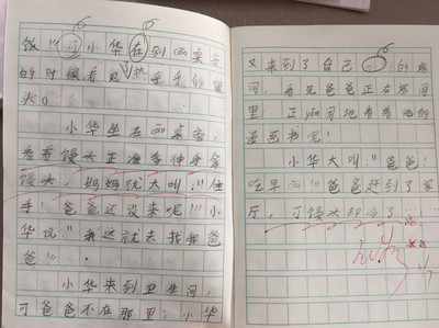 我家的一个星期天作文