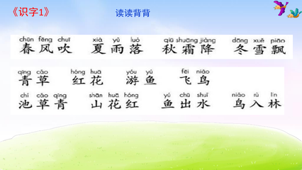 描写夏雨的词