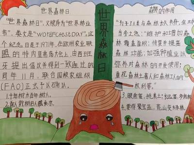 森林手抄报图片大全
