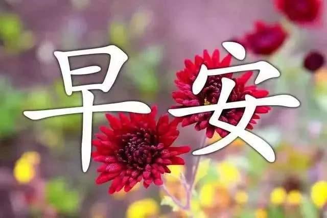 人生满足的句子
