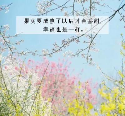 人生满足的句子