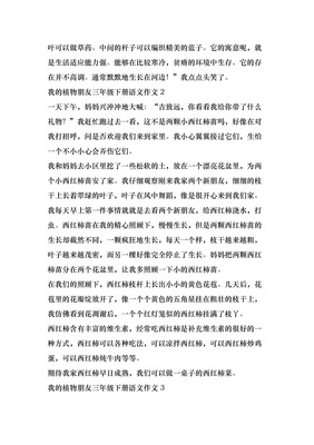 三年级四百字作文