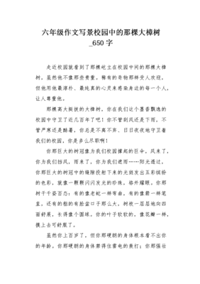 校园里的大樟树作文