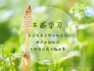 上进句子