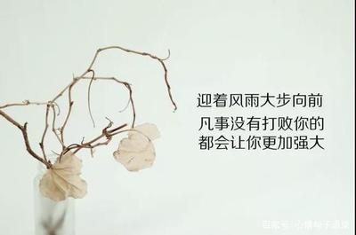 上进句子