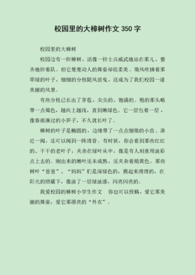 校园里的大樟树作文
