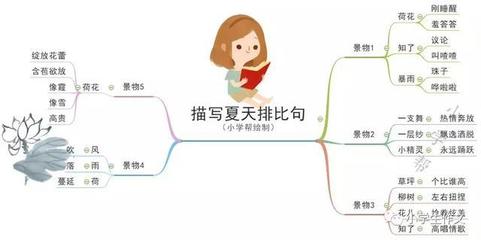描写夏天的排比句