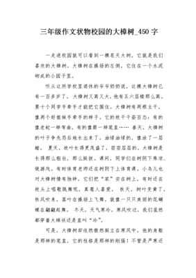 校园里的大樟树作文