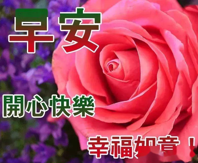祝福一天好心情的句子