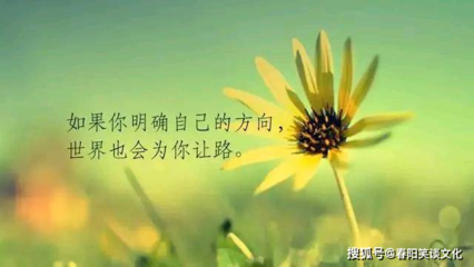 努力终有回报的句子
