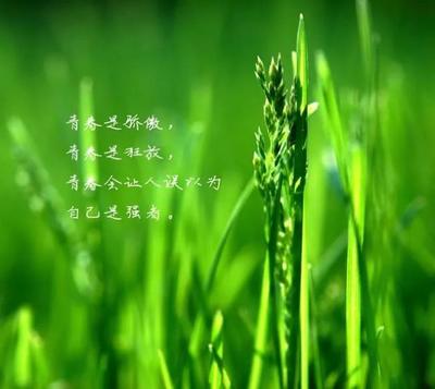 心灵感悟的唯美句子