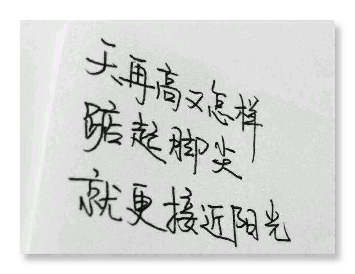努力终有回报的句子