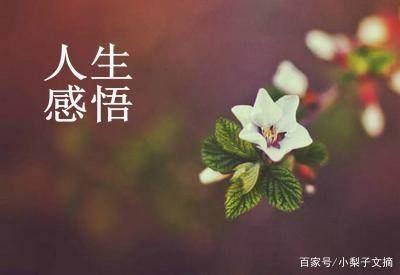 心灵感悟的唯美句子