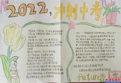 初三中考手抄报内容