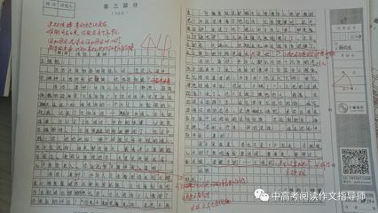 作文片段300字