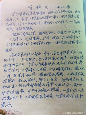 写诗的作文
