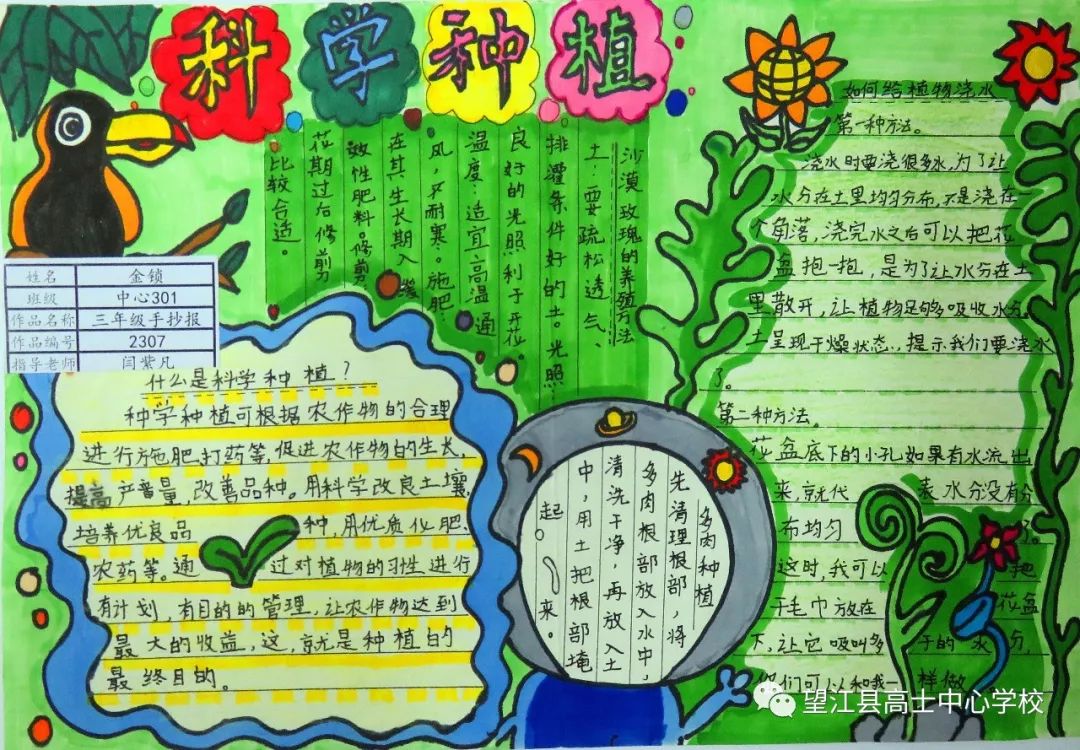 三年级我爱科学手抄报