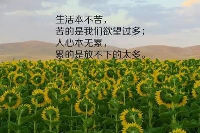 人生重新开始的句子