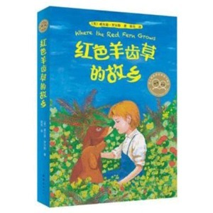 外国儿童故事