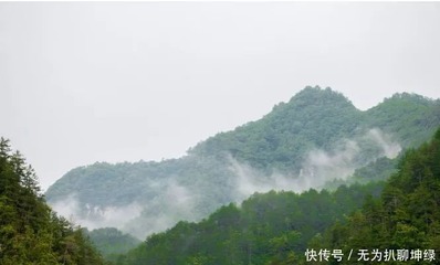 天然氧吧的句子