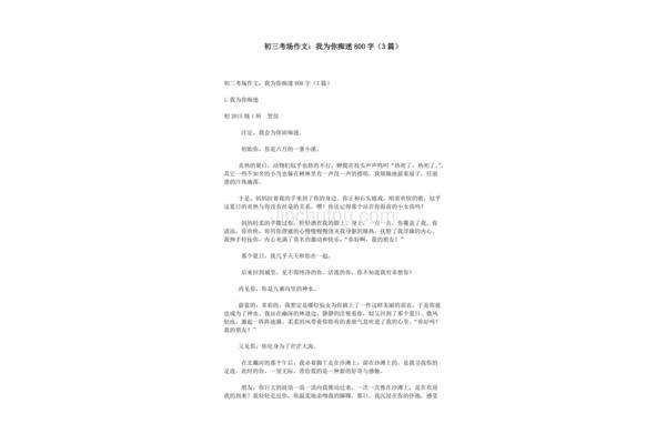 痴迷作文800字
