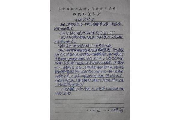 快乐其实很简单作文800字