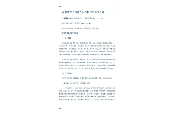 痴迷作文800字