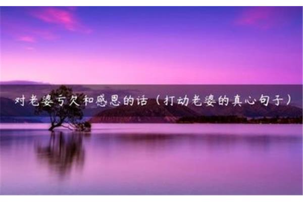 亏欠老婆的句子