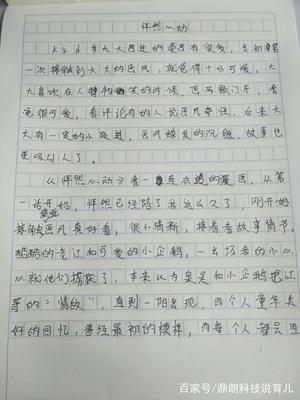 什么迷的作文