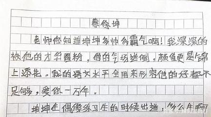 什么迷的作文