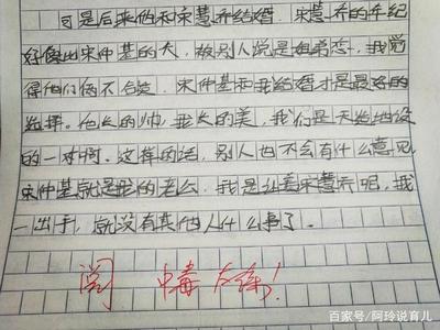 什么迷的作文