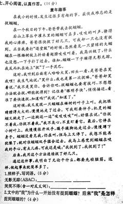 什么迷的作文