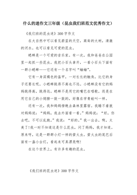 什么迷的作文