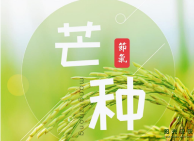 针尖对麦芒相似的句子