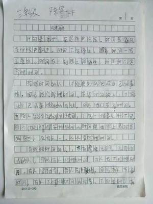 向英雄致敬的作文