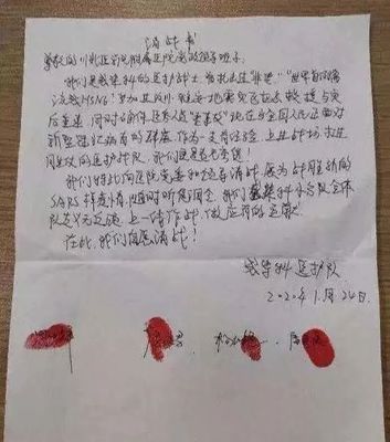 给小学生的一封信