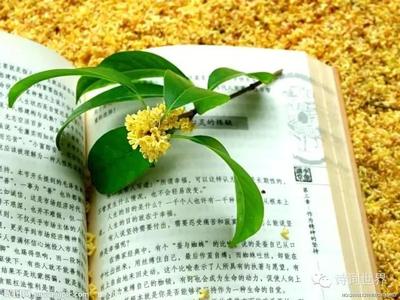 描写月份的诗句