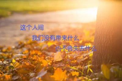不值得的句子