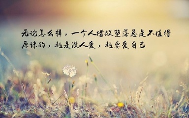 不值得的句子