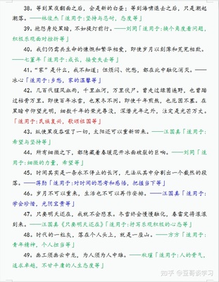 语文万能句子